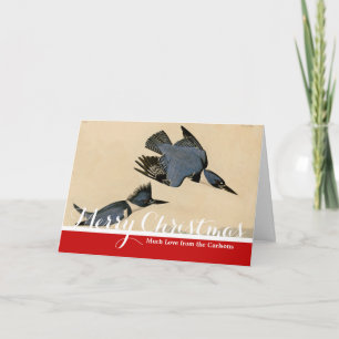Cartes Pour Fêtes Annuelles Audubon Belted Kingfisher Wildlife Bird