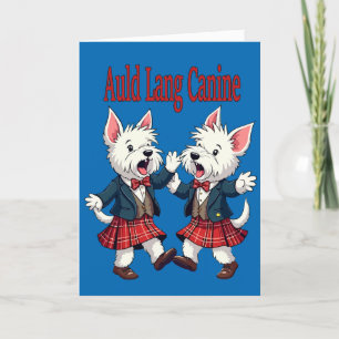 Cartes Pour Fêtes Annuelles Auld Lang Canine West Highland Terrier Ceilidh