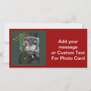 Cartes Pour Fêtes Annuelles Aussie Christmas Koala avec Sucre de canne