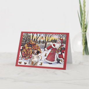 Cartes Pour Fêtes Annuelles Australian Shepherd Christmas Card Santa Bears In