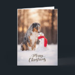 Cartes Pour Fêtes Annuelles Australian Shepherd Christmas Snowman<br><div class="desc">A beautiful Christmas card featuring an Australian Shepherd sitting in fresh winter snow beside a cheerful little snowman wrapped in a red scarf. The warm golden winter light and soft falling snow create a peaceful holiday moment that dog lovers will instantly recognize. Perfect for anyone who shares their life with...</div>
