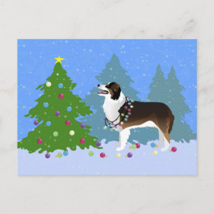 Cartes Pour Fêtes Annuelles Australian Shepherd Dog Decorating Christmas Tree