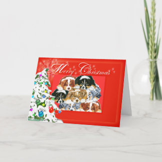 Cartes Pour Fêtes Annuelles Australian Shepherd Joyeux Noël