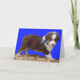 Cartes Pour Fêtes Annuelles Australien de heureuse Sainte-Valentin