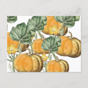Cartes Pour Fêtes Annuelles Automne Aquarelle d'automne Citrouilles Vintages