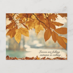 Cartes Pour Fêtes Annuelles Automne Feuilles Paysages