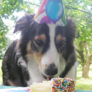 Cartes Pour Fêtes Annuelles "Avoir ton gâteau et le manger aussi !"