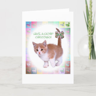 Cartes Pour Fêtes Annuelles Ayez Noël de cataire !
