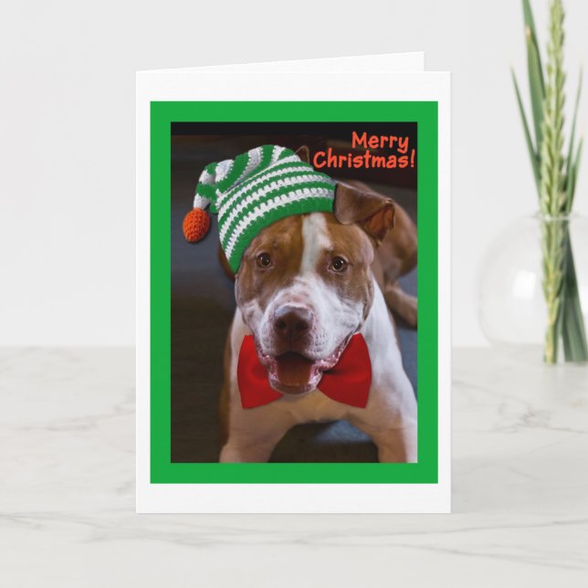 Cartes Pour Fêtes Annuelles Ayez Noël de pitbull (Devant)