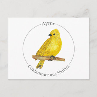 Cartes Pour Fêtes Annuelles Ayme - Goldammer aus Natlara