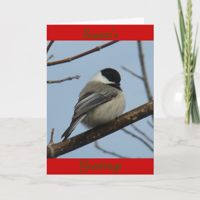 Cartes Pour Fêtes Annuelles B21 Chickadee noir à capuchon (Devant)
