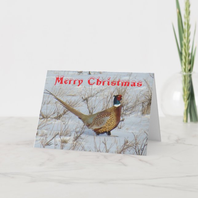 Cartes Pour Fêtes Annuelles B22 Ring-Necked Pheasant in Snow Christmas Card (Devant)