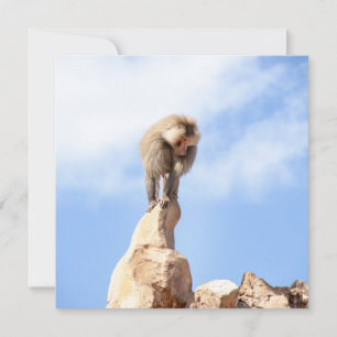Cartes Pour Fêtes Annuelles Babouin singe au sommet d'une montagne