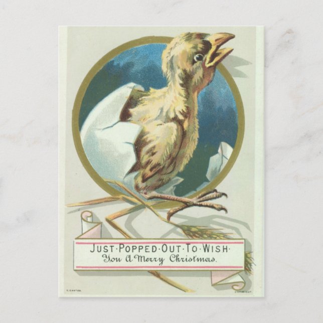 Cartes Pour Fêtes Annuelles Baby Chick Victorian Christmas Card (Devant)