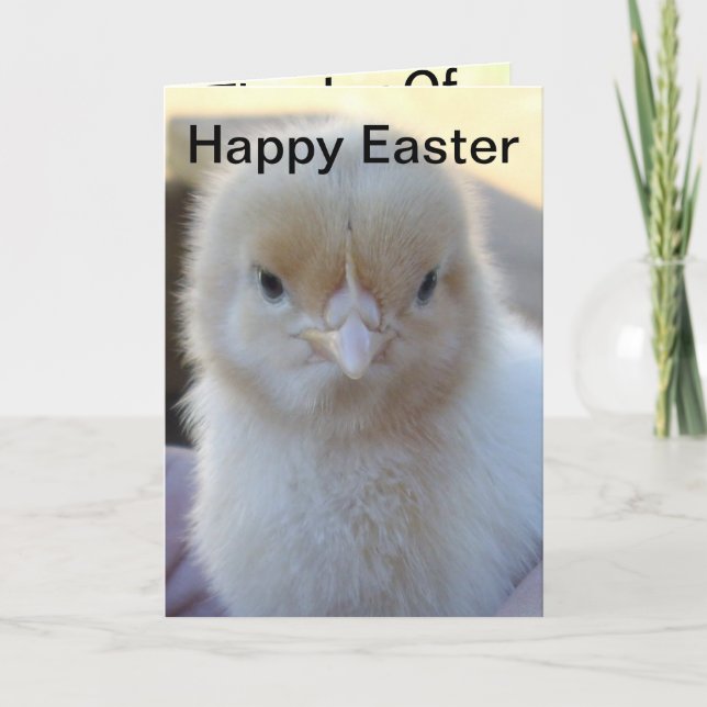 Cartes Pour Fêtes Annuelles Baby_Chicken_Easter_Greeting_Card. (Devant)