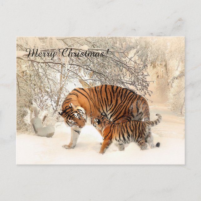 Cartes Pour Fêtes Annuelles Baby tiger and Tiger maman dans une forêt enneigée (Devant)