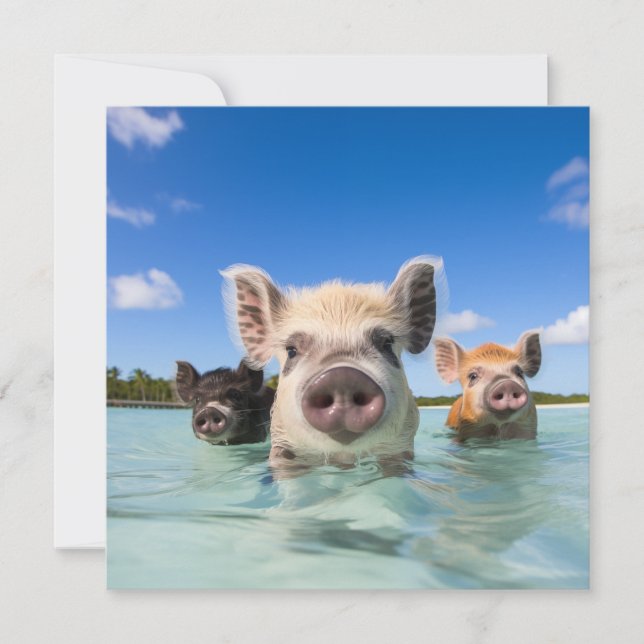 Cartes Pour Fêtes Annuelles Bahamas Swimming Pig 2024 (Devant)