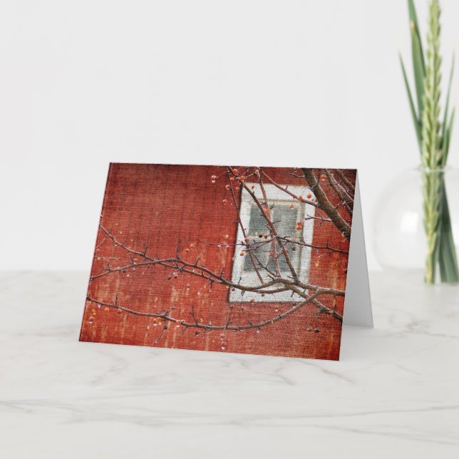 Cartes Pour Fêtes Annuelles Baies et grange, Noël (Devant)