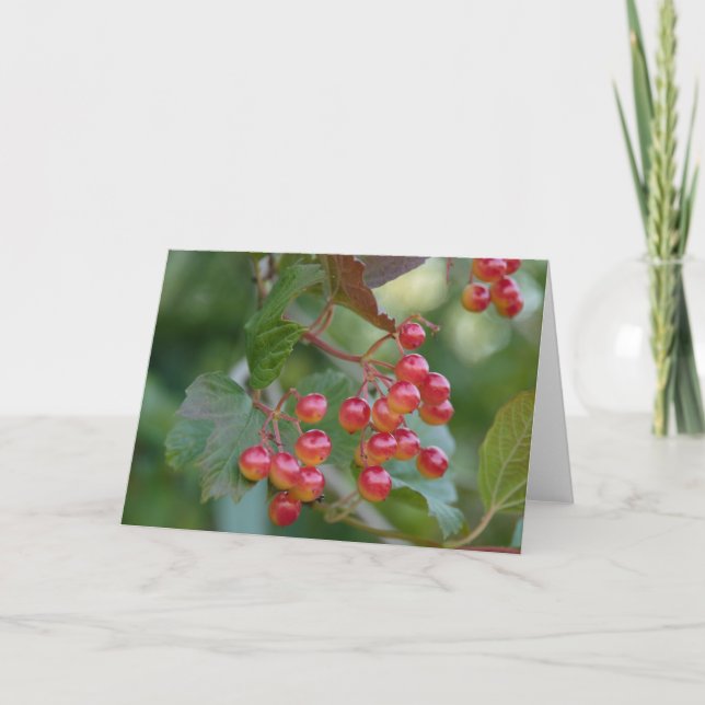 Cartes Pour Fêtes Annuelles Baies rouges (Devant)