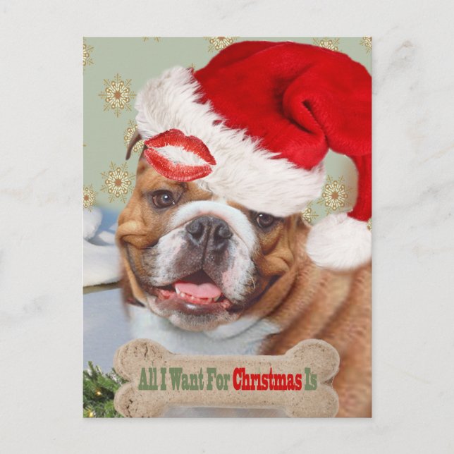 Cartes Pour Fêtes Annuelles Baisers Bulldog Anglais Pour Noël (Devant)