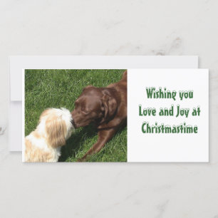 Cartes Pour Fêtes Annuelles Baisers de Noël de chiens de laboratoire de