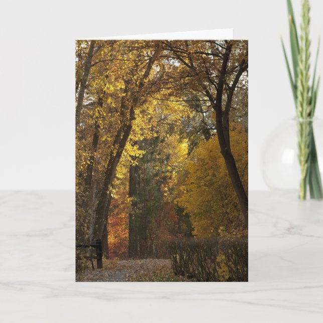 Cartes Pour Fêtes Annuelles Balade d'automne par le parc de Greenough (Devant)