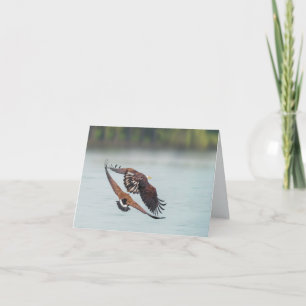 Cartes Pour Fêtes Annuelles Bald Eagle and Goose Wildlife Blank Toutes les occ