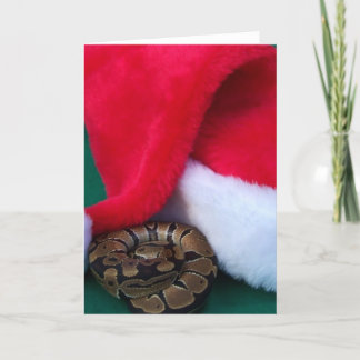 Cartes Pour Fêtes Annuelles Ball Python à côté de Santa Hat, serpent Noël