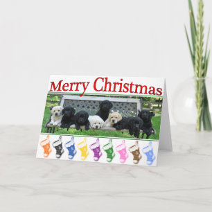 Cartes Pour Fêtes Annuelles Banc d'honneur Noël