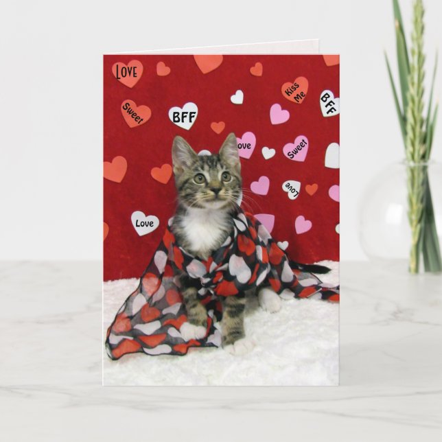 Cartes Pour Fêtes Annuelles Bandit's Valentine's - Chat / Kitten Valentine's (Devant)