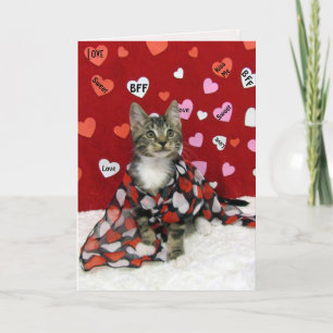 Cartes Pour Fêtes Annuelles Bandit's Valentine's - Chat / Kitten Valentine's