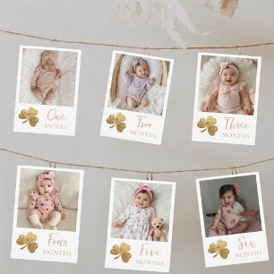Cartes Pour Fêtes Annuelles Bannière de photos mensuelles pour le premier anni