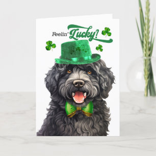 Cartes Pour Fêtes Annuelles Barbet Dog Feelin' Lucky St Patrick's Day
