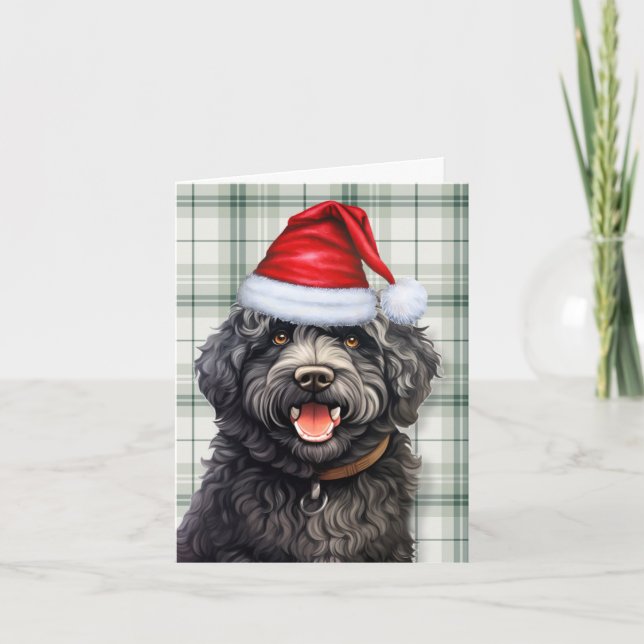 Cartes Pour Fêtes Annuelles Barbet Noël Chien vert Plaid Noël (Devant)