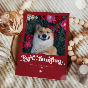 Cartes Pour Fêtes Annuelles Bark Humbug Chien photo Drôle Noël