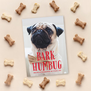 Cartes Pour Fêtes Annuelles Bark Humbug mignon Chien chiot   Photo de vacances