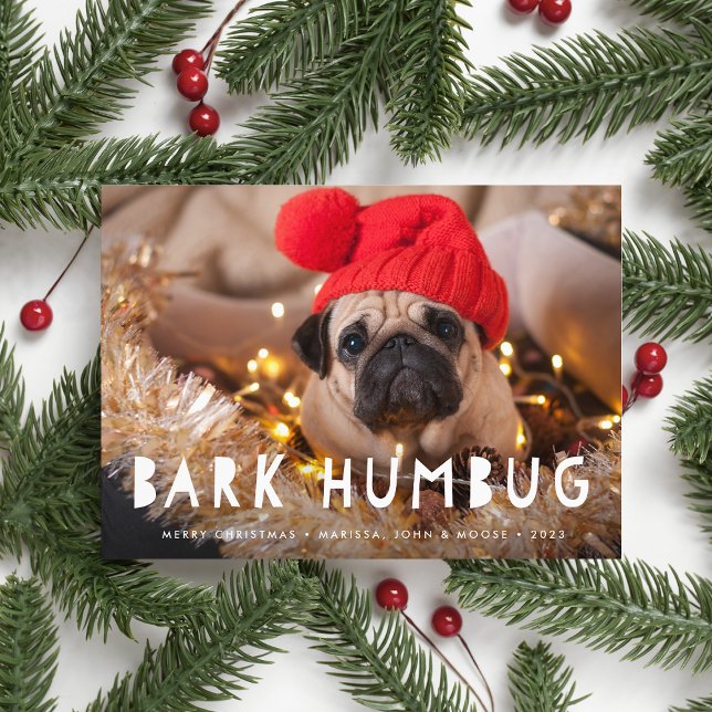 Cartes Pour Fêtes Annuelles Bark Humbug | Pet Photo Holiday Card (Créateur téléchargé)