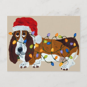 Cartes Pour Fêtes Annuelles Basset emmêlé dans les lumières de Noël
