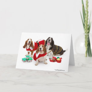 Cartes Pour Fêtes Annuelles basset hound de noël