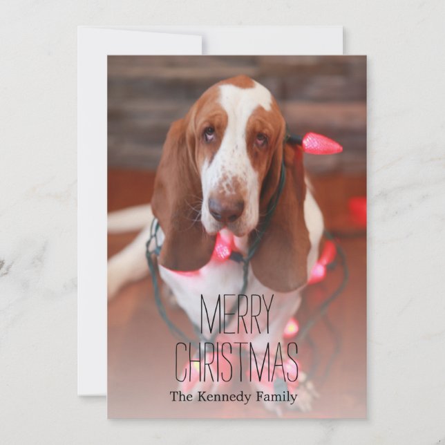 Cartes Pour Fêtes Annuelles basset hound, noël, lumières de noël (Devant)