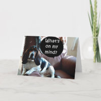 BASSET HOUND-VOUS/SEUL VOUS ÊTES DANS MON ESPRIT