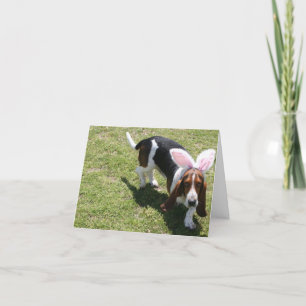 Cartes Pour Fêtes Annuelles Bassett