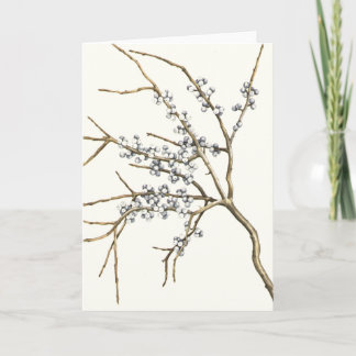 Cartes Pour Fêtes Annuelles Bayberry