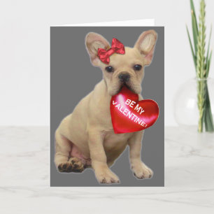 Cartes Pour Fêtes Annuelles Be My Valentine French bulldog