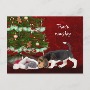 Cartes Pour Fêtes Annuelles Beagle et coquin Noël