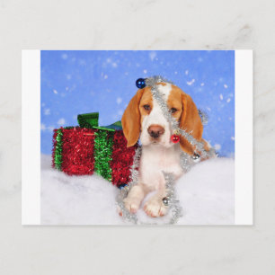 Cartes Pour Fêtes Annuelles Beagle Jingle