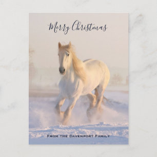 Cartes Pour Fêtes Annuelles Beau Cheval blanc dans la neige Photo Noël