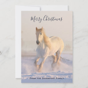 Maison Joyeux Anniversaire Carte De Vœux Beau Cheval Carte Quatre Head Studies Fetes Occasions Speciales