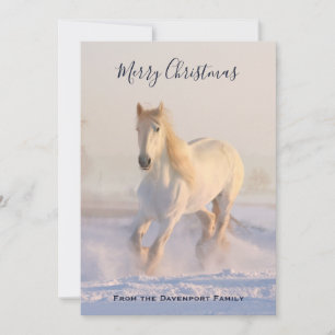 Cartes Pour Fêtes Annuelles Beau Cheval blanc dans la neige Photo Noël