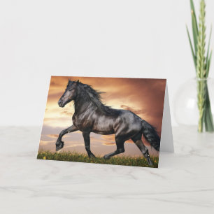 Cartes Pour Fêtes Annuelles Beau Cheval Noir